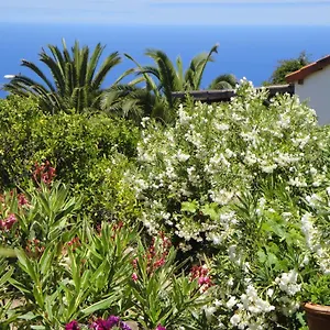 Apartment Casas Erel, Puntagorda